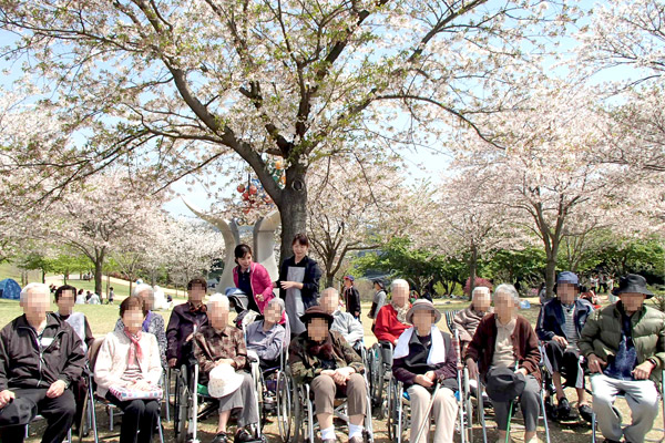 お花見イベント